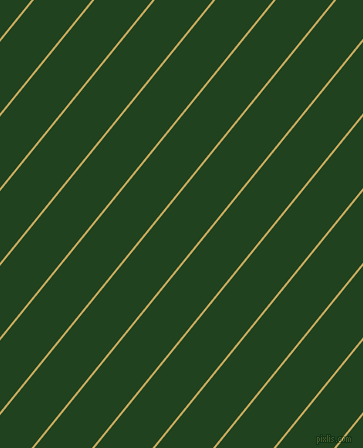 51 degree angle lines stripes, 2 pixel line width, 45 pixel line spacing, Laser and Myrtle angled lines and stripes seamless tileable