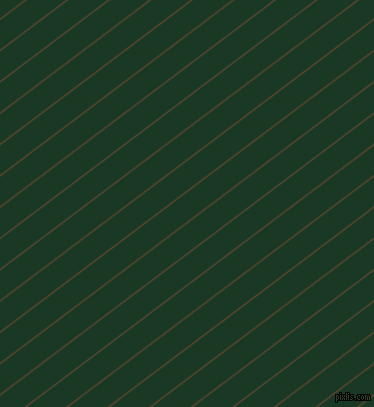 37 degree angle lines stripes, 2 pixel line width, 23 pixel line spacing, Onion and Deep Fir angled lines and stripes seamless tileable