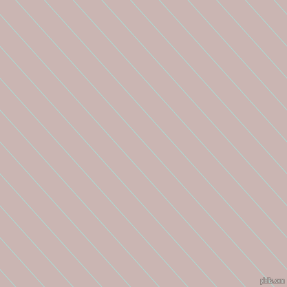 132 degree angle lines stripes, 1 pixel line width, 30 pixel line spacing, Scandal and Cold Turkey angled lines and stripes seamless tileable