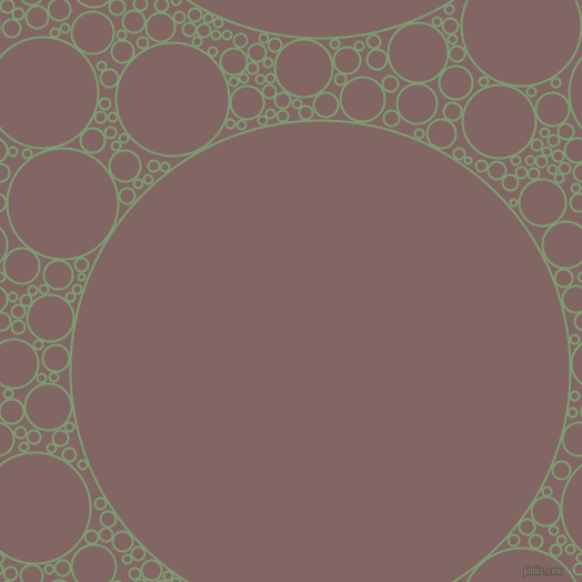 bubbles, circles, sponge, big, medium, small, 2 pixel line width, Amulet and Pharlap circles bubbles sponge soap seamless tileable