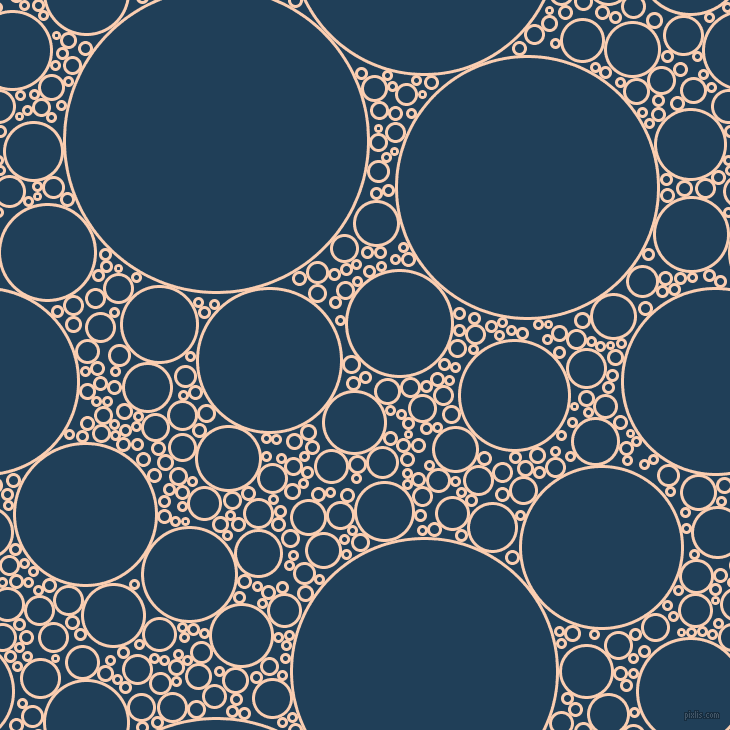 bubbles, circles, sponge, big, medium, small, 3 pixel line width, Apricot and Regal Blue circles bubbles sponge soap seamless tileable