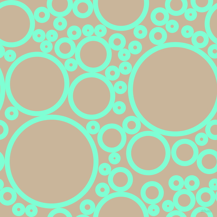 bubbles, circles, sponge, big, medium, small, 17 pixel line width, Aquamarine and Sour Dough circles bubbles sponge soap seamless tileable