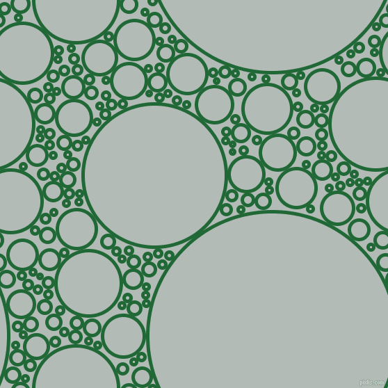 bubbles, circles, sponge, big, medium, small, 5 pixel line width, Camarone and Loblolly circles bubbles sponge soap seamless tileable