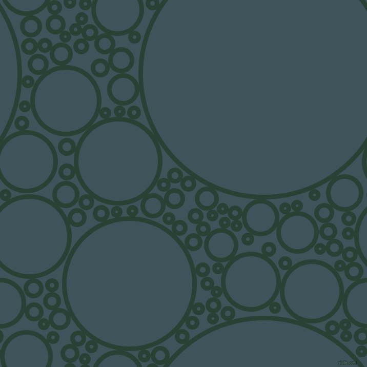 bubbles, circles, sponge, big, medium, small, 9 pixel line width, English Holly and Casal circles bubbles sponge soap seamless tileable