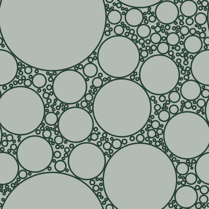 bubbles, circles, sponge, big, medium, small, 5 pixel line width, English Holly and Loblolly circles bubbles sponge soap seamless tileable