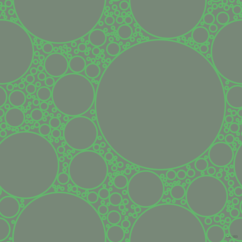 bubbles, circles, sponge, big, medium, small, 5 pixel line width, Fern and Davy