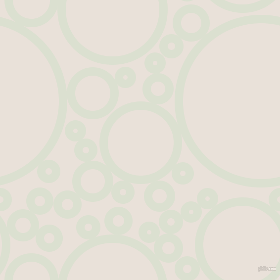 bubbles, circles, sponge, big, medium, small, 17 pixel line width, Feta and Spring Wood circles bubbles sponge soap seamless tileable