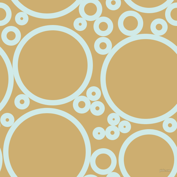 bubbles, circles, sponge, big, medium, small, 17 pixel line width, Foam and Putty circles bubbles sponge soap seamless tileable