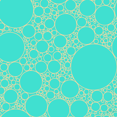 bubbles, circles, sponge, big, medium, small, 2 pixel line width, Frangipani and Turquoise circles bubbles sponge soap seamless tileable