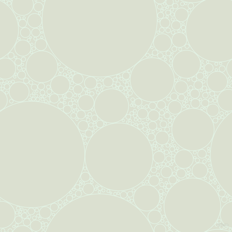bubbles, circles, sponge, big, medium, small, 2 pixel line width, Frosted Mint and Feta circles bubbles sponge soap seamless tileable