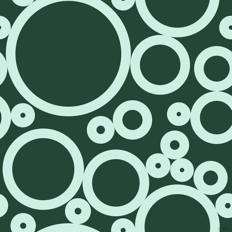 bubbles, circles, sponge, big, medium, small, 33 pixel line width, Humming Bird and Bottle Green circles bubbles sponge soap seamless tileable