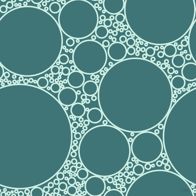 bubbles, circles, sponge, big, medium, small, 5 pixel line width, Humming Bird and Ming circles bubbles sponge soap seamless tileable