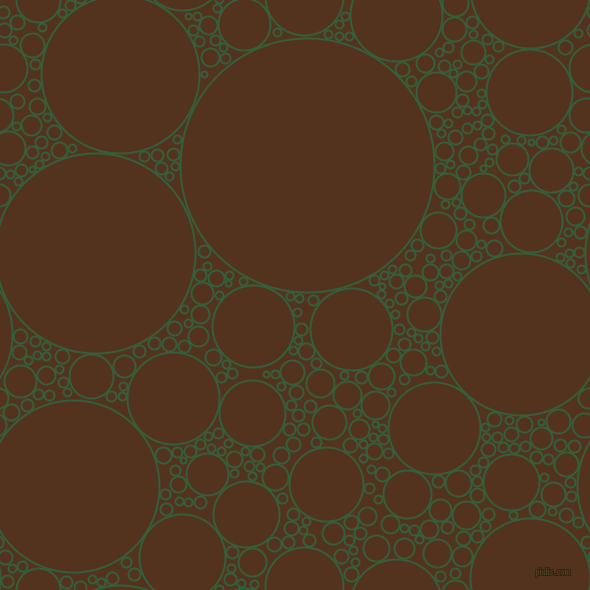 bubbles, circles, sponge, big, medium, small, 2 pixel line width, Hunter Green and Brown Bramble circles bubbles sponge soap seamless tileable