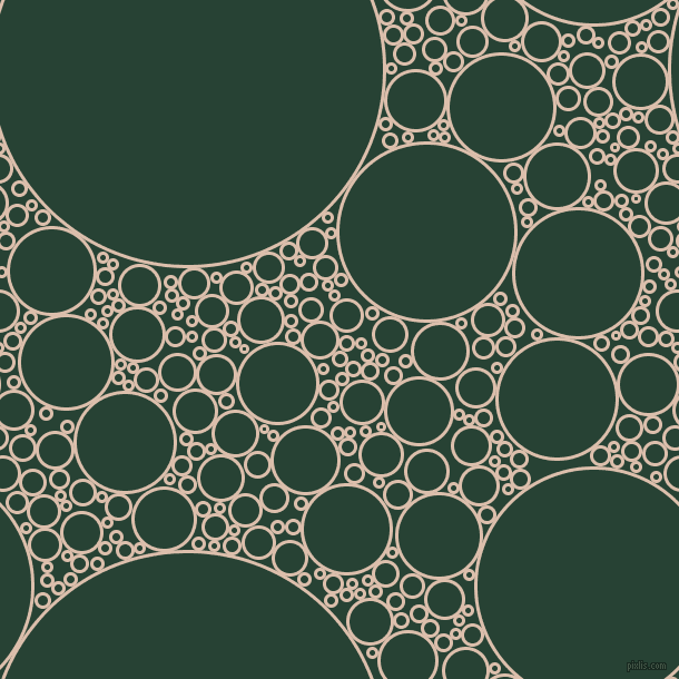 bubbles, circles, sponge, big, medium, small, 3 pixel line width, Just Right and English Holly circles bubbles sponge soap seamless tileable