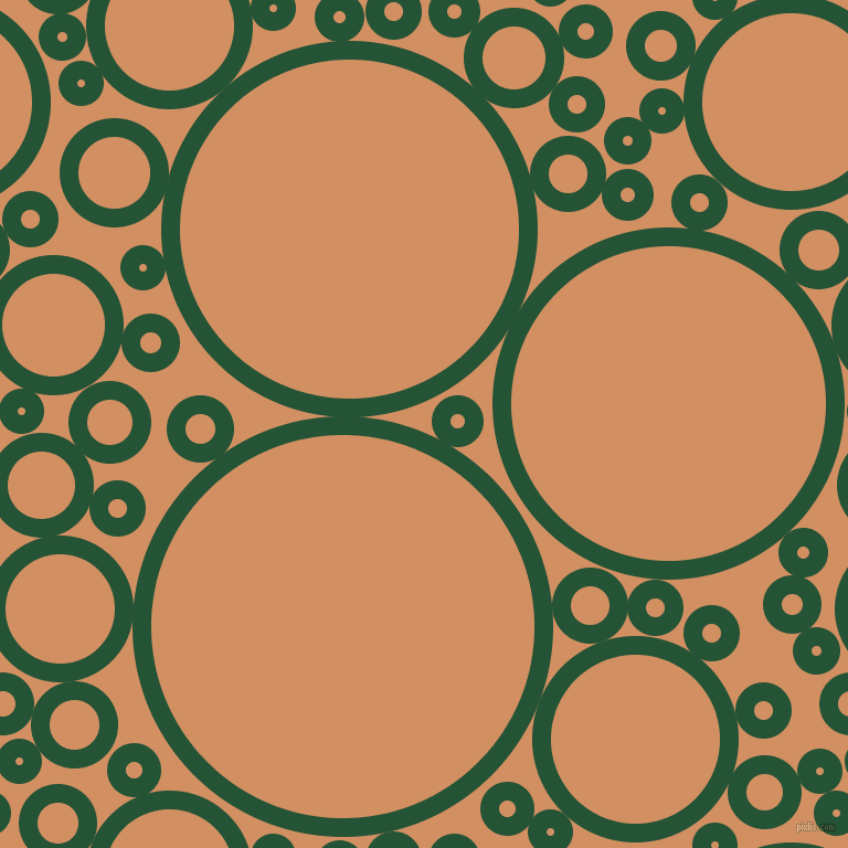 bubbles, circles, sponge, big, medium, small, 17 pixel line widthKaitoke Green and Whiskey circles bubbles sponge soap seamless tileable