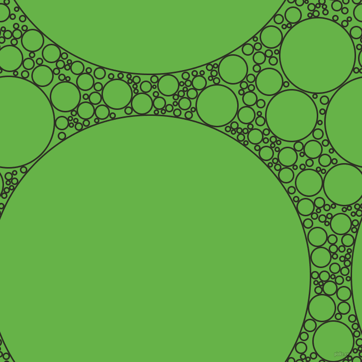 bubbles, circles, sponge, big, medium, small, 3 pixel line width, Karaka and Apple circles bubbles sponge soap seamless tileable