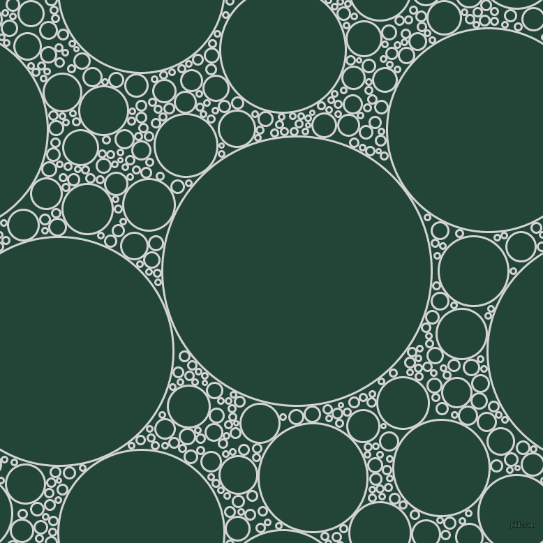 bubbles, circles, sponge, big, medium, small, 3 pixel line width, Light Grey and Burnham circles bubbles sponge soap seamless tileable