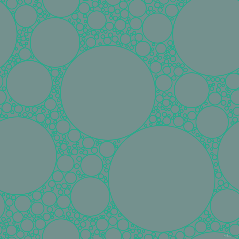 bubbles, circles, sponge, big, medium, small, 3 pixel line width, Niagara and Juniper circles bubbles sponge soap seamless tileable