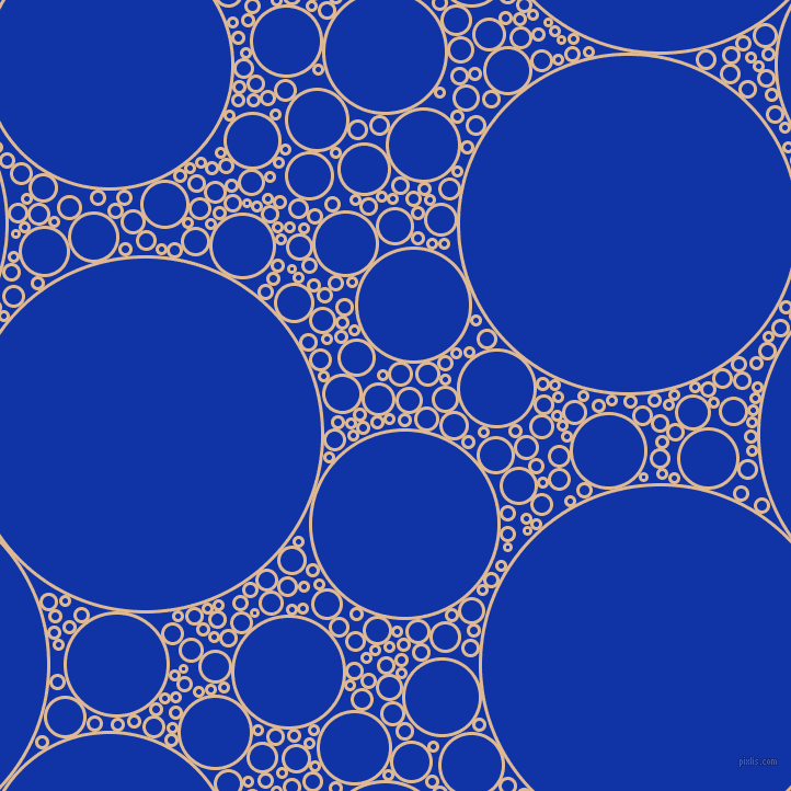 bubbles, circles, sponge, big, medium, small, 3 pixel line width, Pancho and Egyptian Blue circles bubbles sponge soap seamless tileable