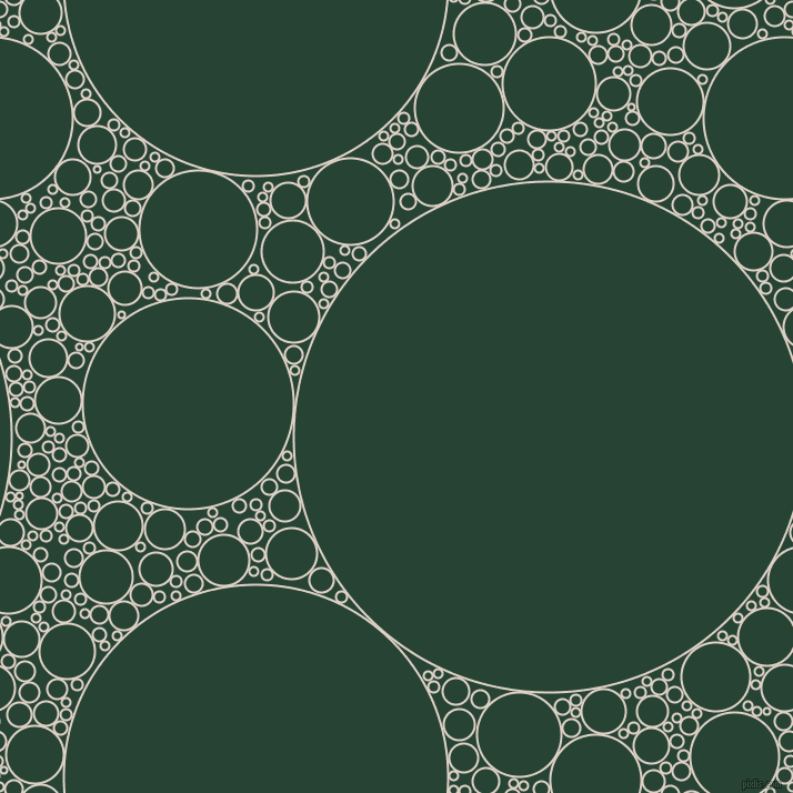 bubbles, circles, sponge, big, medium, small, 2 pixel line width, Pearl Bush and Everglade circles bubbles sponge soap seamless tileable