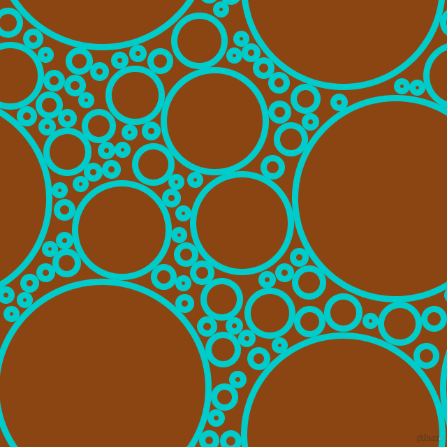 bubbles, circles, sponge, big, medium, small, 9 pixel line width, Robin