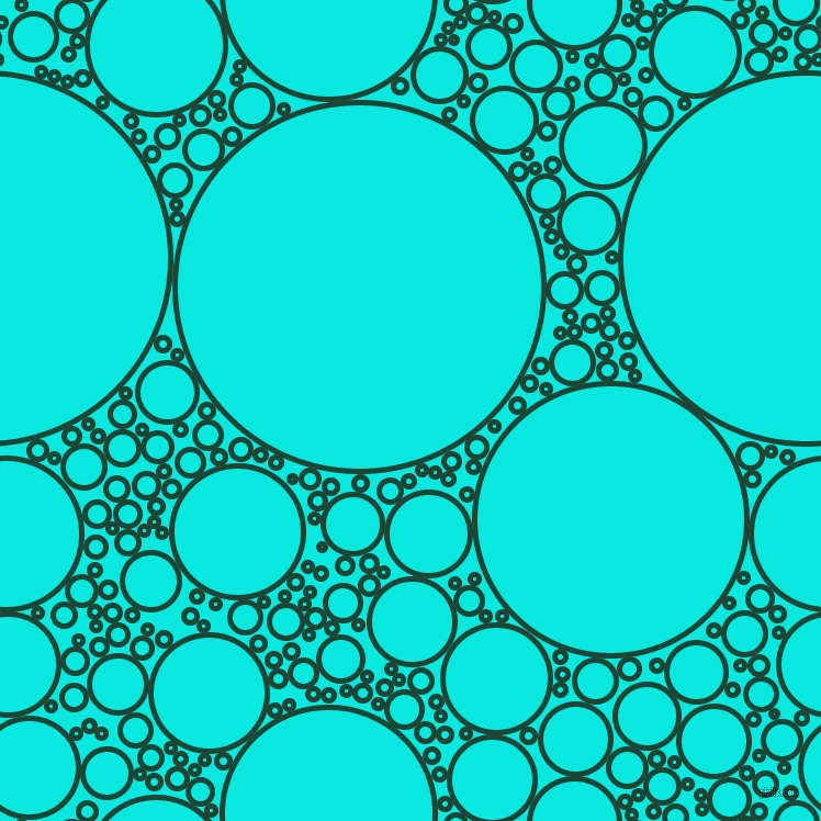 bubbles, circles, sponge, big, medium, small, 5 pixel line width, Sherwood Green and Bright Turquoise circles bubbles sponge soap seamless tileable