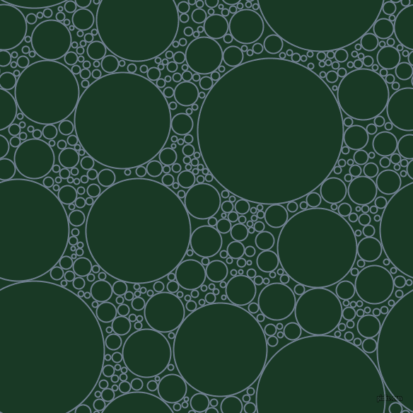 bubbles, circles, sponge, big, medium, small, 2 pixel line width, Slate Grey and Deep Fir circles bubbles sponge soap seamless tileable