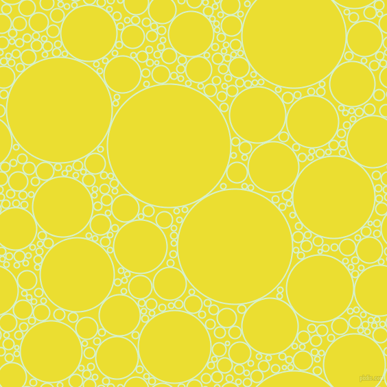 bubbles, circles, sponge, big, medium, small, 2 pixel line width, Snowy Mint and Golden Fizz circles bubbles sponge soap seamless tileable
