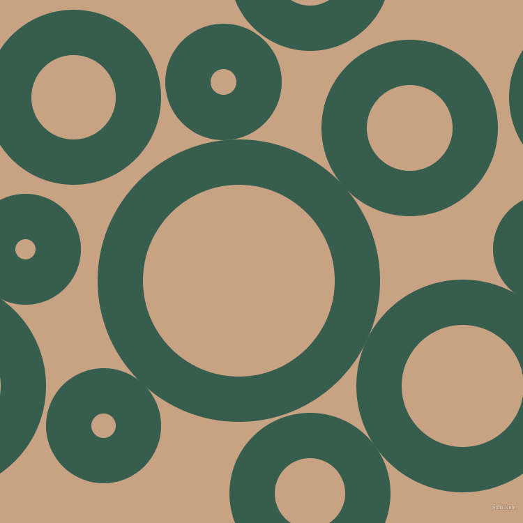 bubbles, circles, sponge, big, medium, small, 65 pixel line width, Spectra and Rodeo Dust circles bubbles sponge soap seamless tileable