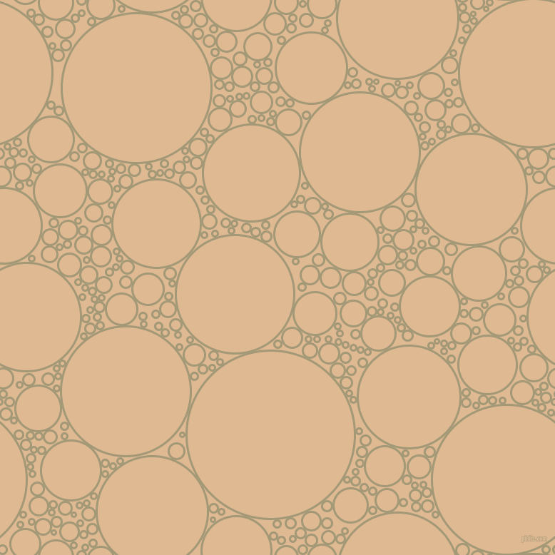 bubbles, circles, sponge, big, medium, small, 3 pixel line width, Tallow and Pancho circles bubbles sponge soap seamless tileable