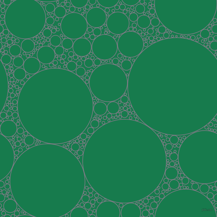 bubbles, circles, sponge, big, medium, small, 2 pixel line width, Topaz and Salem circles bubbles sponge soap seamless tileable