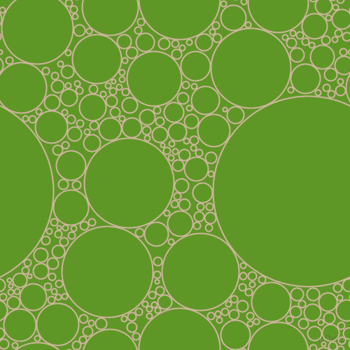 bubbles, circles, sponge, big, medium, small, 2 pixel line width, Vanilla and Limeade circles bubbles sponge soap seamless tileable