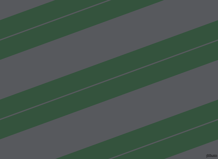 20 degree angles dual striped lines, 60 pixel lines width, 4 and 124 pixels line spacing, dual two line striped seamless tileable