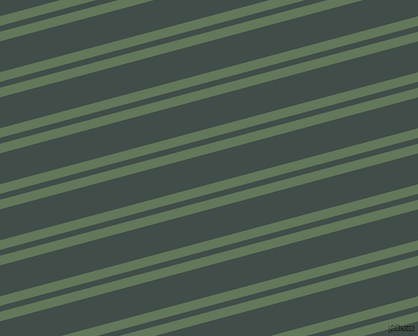 15 degree angle dual stripe line, 13 pixel line width, 8 and 42 pixel line spacing, Axolotl and Corduroy dual two line striped seamless tileable