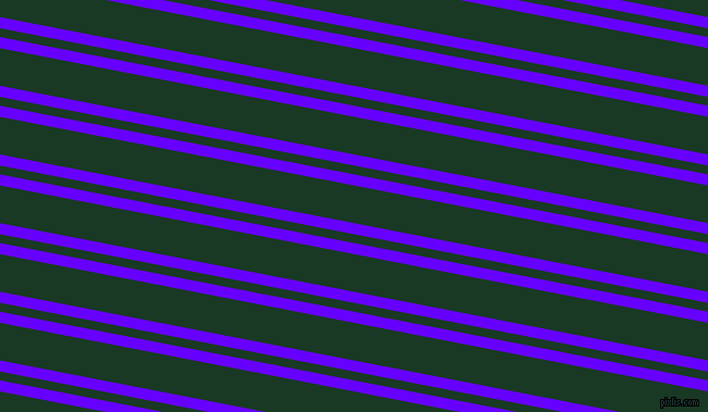 169 degree angle dual striped line, 10 pixel line width, 8 and 34 pixel line spacing, Electric Indigo and Deep Fir dual two line striped seamless tileable