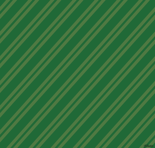 48 degree angles dual stripes lines, 12 pixel lines width, 8 and 32 pixels line spacing, Fern Green and Camarone dual two line striped seamless tileable