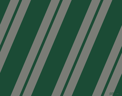 67 degree angles dual striped line, 31 pixel line width, 10 and 71 pixels line spacing, Gunsmoke and County Green dual two line striped seamless tileable
