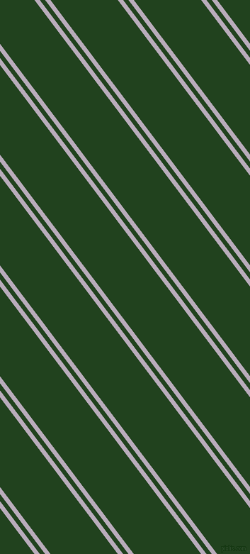 127 degree angle dual striped lines, 6 pixel lines width, 6 and 76 pixel line spacing, Lola and Myrtle dual two line striped seamless tileable