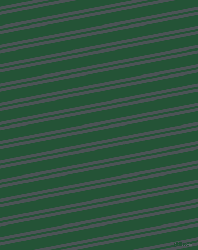 11 degree angles dual stripes lines, 6 pixel lines width, 4 and 21 pixels line spacing, Trout and Kaitoke Green dual two line striped seamless tileable