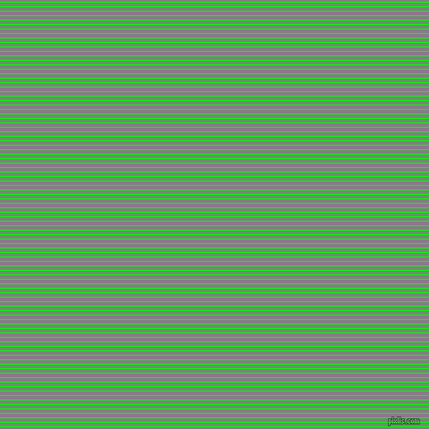 horizontal lines stripes, 1 pixel line width, 4 pixel line spacing, Lime and Grey horizontal lines and stripes seamless tileable