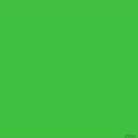 horizontal lines stripes, 2 pixel line width, 2 pixel line spacing, Lime and Grey horizontal lines and stripes seamless tileable