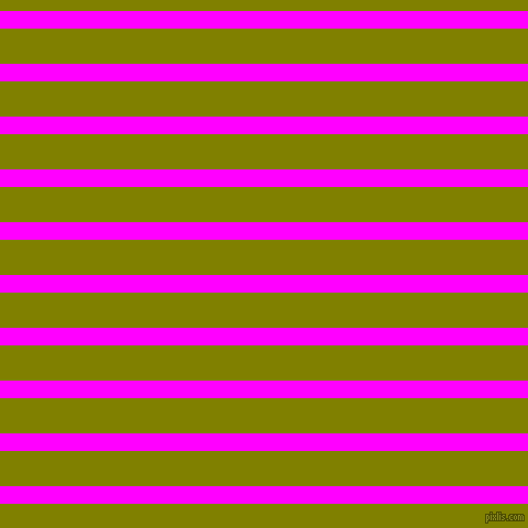 horizontal lines stripes, 16 pixel line width, 32 pixel line spacing, Magenta and Olive horizontal lines and stripes seamless tileable