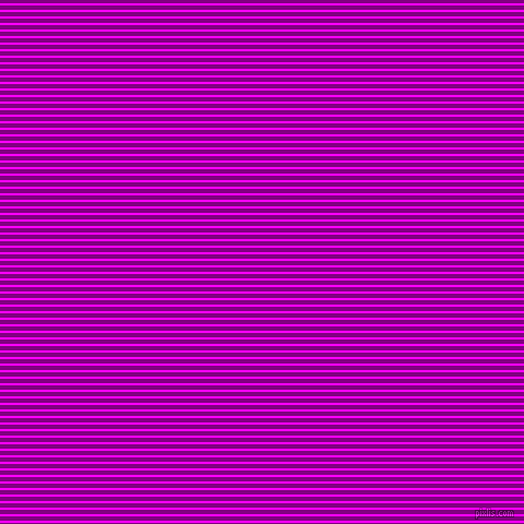 horizontal lines stripes, 2 pixel line width, 4 pixel line spacing, Magenta and Purple horizontal lines and stripes seamless tileable
