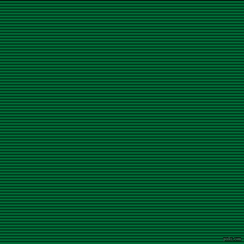 horizontal lines stripes, 1 pixel line width, 2 pixel line spacing, Spring Green and Black horizontal lines and stripes seamless tileable