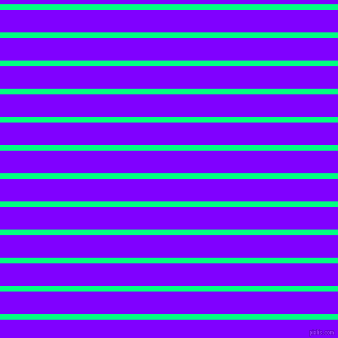 horizontal lines stripes, 8 pixel line width, 32 pixel line spacing, Spring Green and Electric Indigo horizontal lines and stripes seamless tileable
