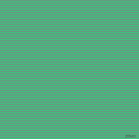 horizontal lines stripes, 2 pixel line width, 4 pixel line spacing, Spring Green and Grey horizontal lines and stripes seamless tileable