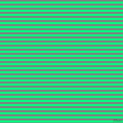 horizontal lines stripes, 8 pixel line width, 8 pixel line spacing, Spring Green and Grey horizontal lines and stripes seamless tileable