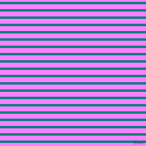horizontal lines stripes, 8 pixel line width, 16 pixel line spacing, Teal and Fuchsia Pink horizontal lines and stripes seamless tileable