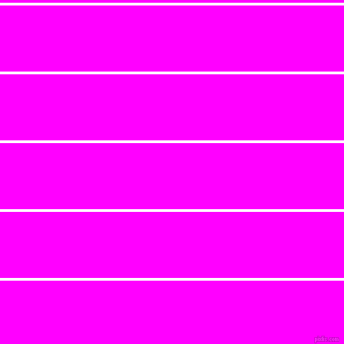 horizontal lines stripes, 4 pixel line width, 96 pixel line spacing, White and Magenta horizontal lines and stripes seamless tileable