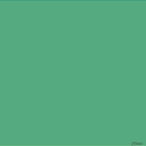 horizontal lines stripes, 1 pixel line width, 2 pixel line spacingWitch Haze and Teal horizontal lines and stripes seamless tileable
